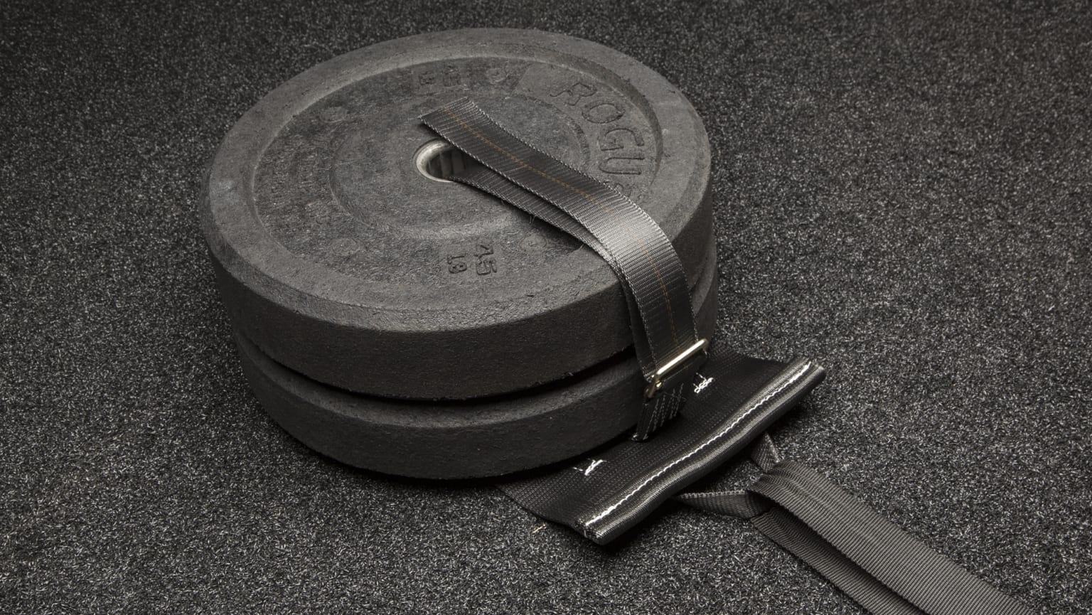 Rogue fitness sled weight best sale
